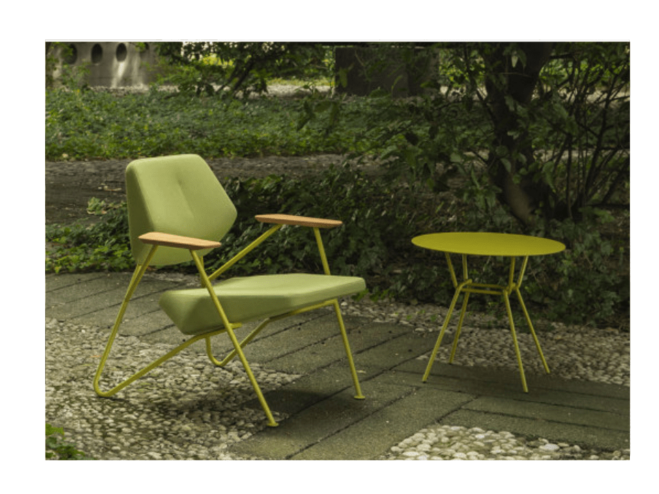 FOTO PRODUCTO polygon