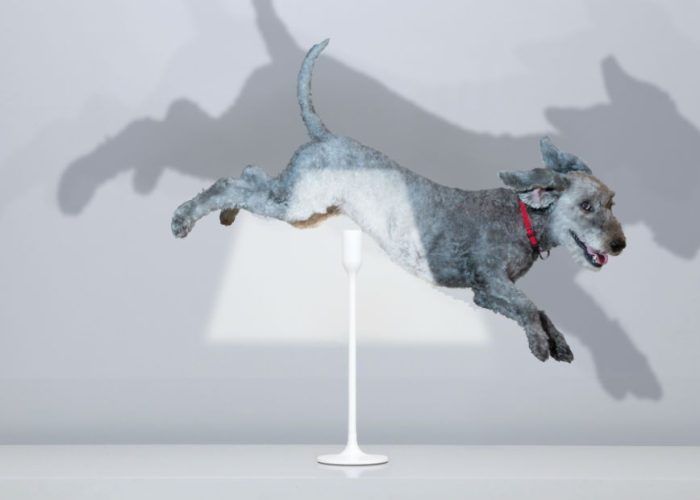 asset 7